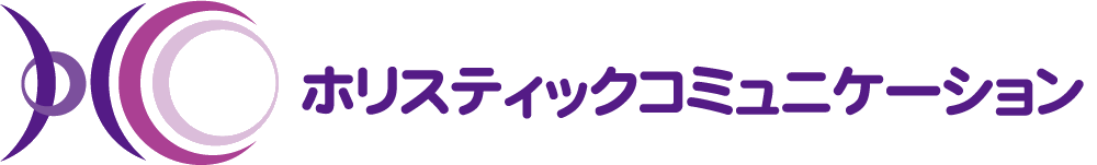  HC SYSTEM
